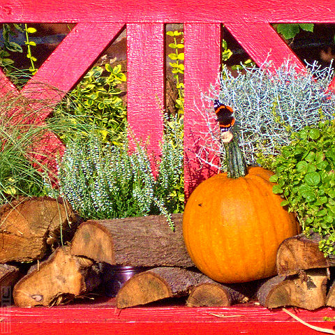 Herbststimmung - SH Herbststimmung - SH